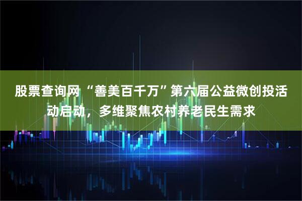 股票查询网 “善美百千万”第六届公益微创投活动启动，多维聚焦农村养老民生需求